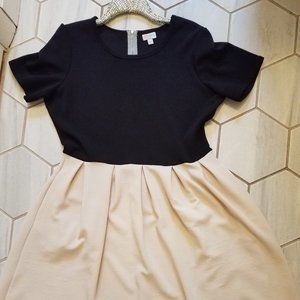 LuLaRoe Amelia Two Tone Dress